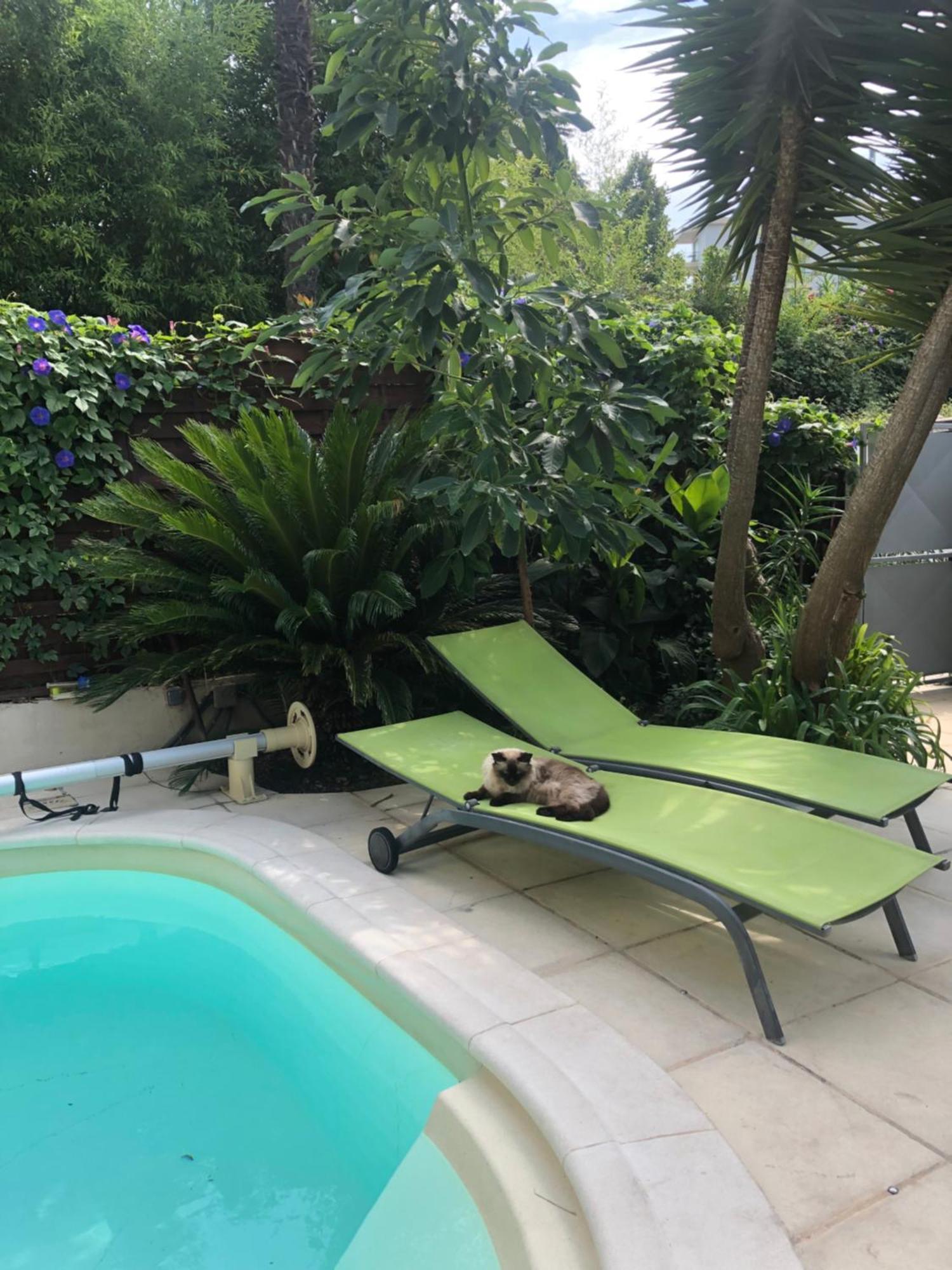 Villa Beausejour Cannes Luaran gambar